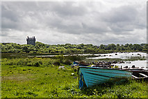 M2837 : Castles of Connacht: Annaghdown, Galway (1) by Mike Searle