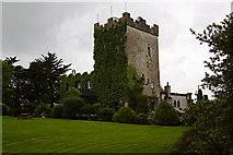M3430 : Castles of Connacht: Cloonacauneen, Galway (3) by Mike Searle
