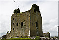 M4141 : Castles of Connacht: Anbally, Galway (2) by Mike Searle