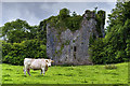 M6512 : Castles of Connacht: Aille, Galway by Mike Searle