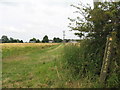 Footpath to Tithebarn Lane