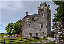 M4909 : Castles of Connacht: Rahaly, Galway (1) by Mike Searle