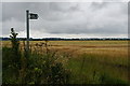 Bridleway off Kexby Road