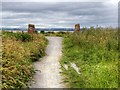 Coastal Path near Lookout Point