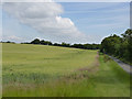 Chiltern landscape near Ipsden