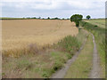 Chiltern landscape near Ipsden