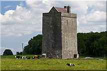 M5323 : Castles of Connacht: Moyode, Galway (2) by Mike Searle
