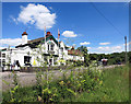 Pub behind the plants