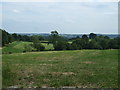 Farmland east of Hollington