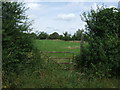 Field entrance and footpath