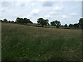 Farmland, Butterley Bank Farm