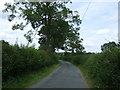 Lane towards Croxden