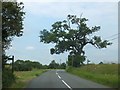 B1078 and two footpath signs