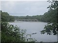 The eight arched bridge across Stackpole Lake