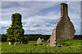 M8159 : Castles of Connacht: Toberavaddy, Roscommon (2) by Mike Searle