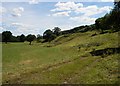 Nidderdale near High West House