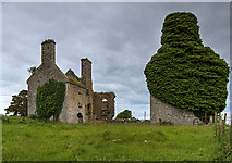 M9652 : Castles of Connacht: Gort (Lecarrow), Roscommon (2) by Mike Searle