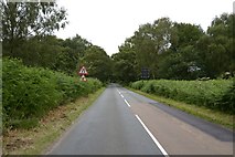 SJ9611 : Minor road near Shoal Hill by Steven Brown