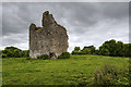 M8895 : Castles of Connacht: Canbo, Roscommon (1) by Mike Searle