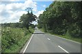 A386 passing Langabear Plantation