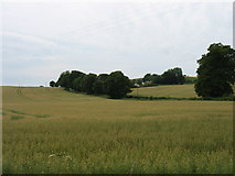 O2905 : Farmland north of Newcastle by David Purchase