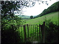 Gat fochyn Pontarsais kissing gate