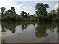 View across the Thames west of Kew Bridge