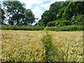 Footpath to Charlwood Lane