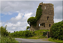 N6436 : Castles of Leinster: Carrick, Kildare (1) by Mike Searle