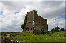 N6436 : Castles of Leinster: Carrick, Kildare (2) by Mike Searle
