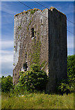 R3282 : Castles of Munster: Ballygriffy, Clare (1) by Mike Searle