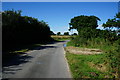 Minor Road towards Clayflat Plantation