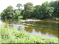 Rapids on the River Teviot