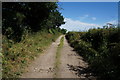 Halfacres Lane towards Ponds Farm