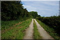 Farm track off Crudhall Lane