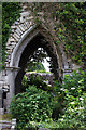 M7490 : Cloonshanville Priory, Frenchpark, Roscommon - detail (2) by Mike Searle