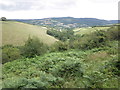 View towards Wootton Courtenay