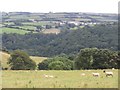 View towards Luckwells Wood