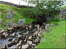 SD7977 : Brow Gill Beck descending into God's Bridge by Andrew Whale
