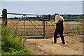 Torridge : Crops Growing & Gate