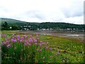 Garelochhead and the head of Gareloch