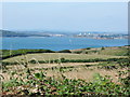 Wembury: towards Plymouth Sound