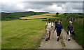 Llwybr Blaenau / Blaenau path