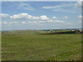 Open Moorland