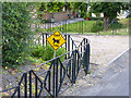 Cat crossing at Cattistock