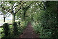 SE6649 : Minster Way towards Gypsy Corner (set of 4 images) by Ian S