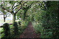 Minster Way towards Gypsy Corner