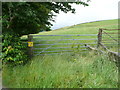 Gate on Sowerby Bridge Footpath 78 (north branch)