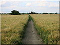 Footpath to Orwell