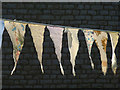 SD4972 : Bunting in Warton (5) by Karl and Ali
